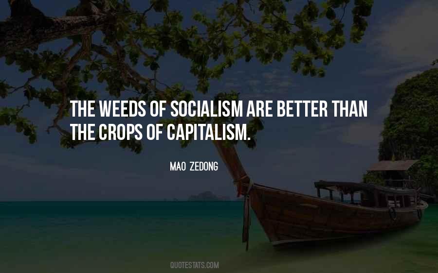 Tsiakkas Commandaria Quotes #1587430