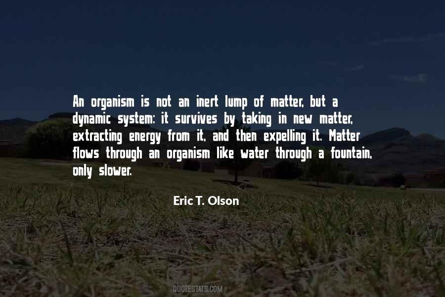 Energy Flows Quotes #1431493