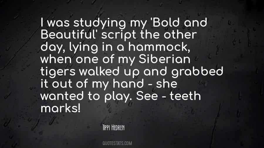 Quotes About Lying In A Hammock #647690
