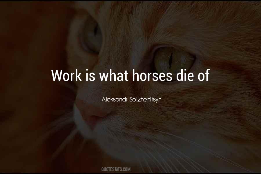 Calikoglu Ticaret Quotes #907175