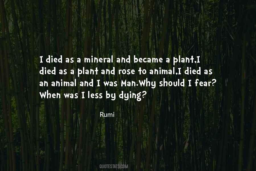 Why Fear Death Quotes #1569848