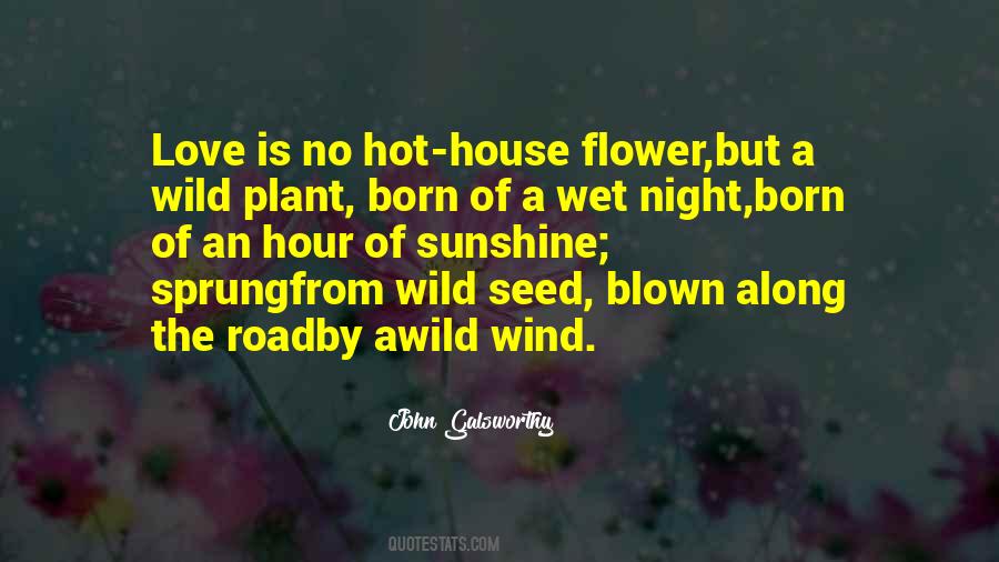 Love Hot Quotes #194188