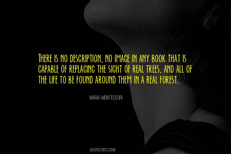 Life Maria Montessori Quotes #355068