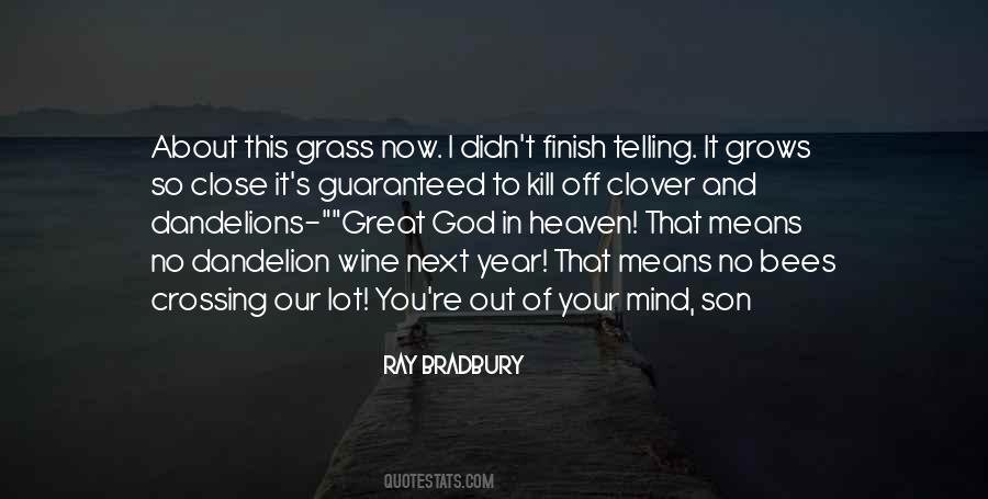 Dandelions Wine Quotes #1647930