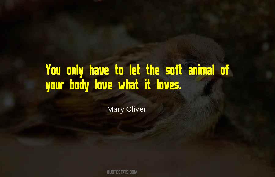 Love Mary Oliver Quotes #958819