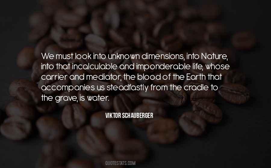 Schauberger Water Quotes #1256951