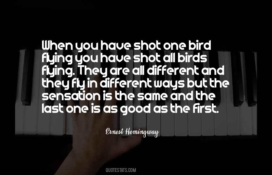 Sweetwood Havanese Quotes #836985