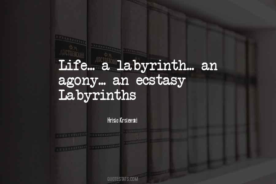 A Labyrinth Quotes #776032