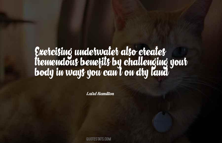 Urdimbre En Quotes #613964