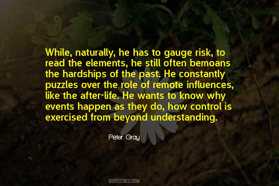 Puzzles Of Life Quotes #1536803
