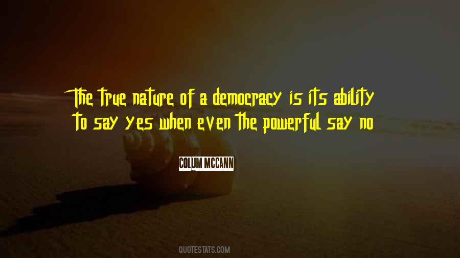 Punctiliousness Easy Quotes #289677