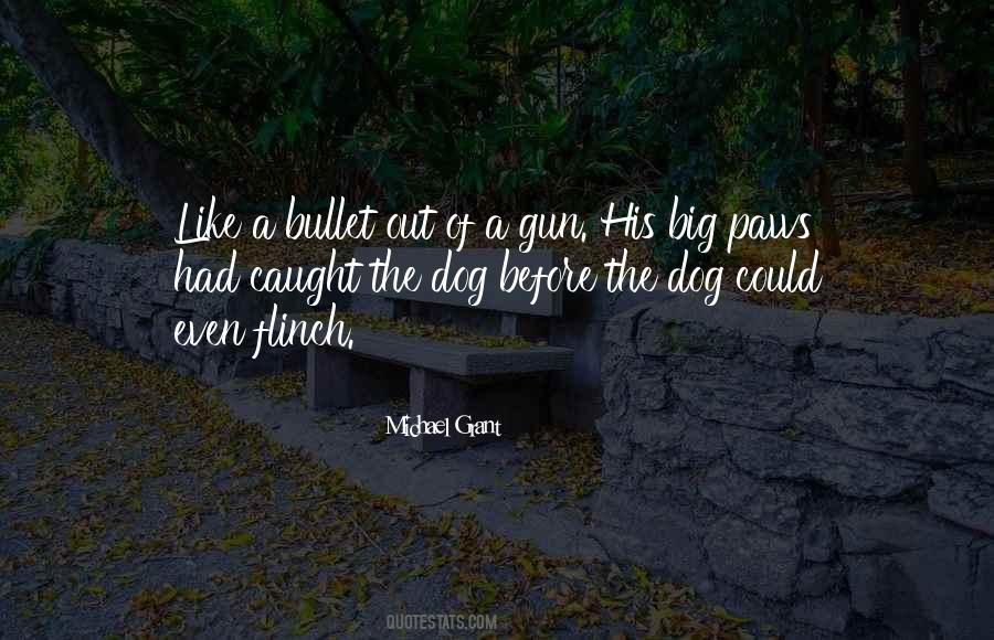 Big Gun Quotes #437702