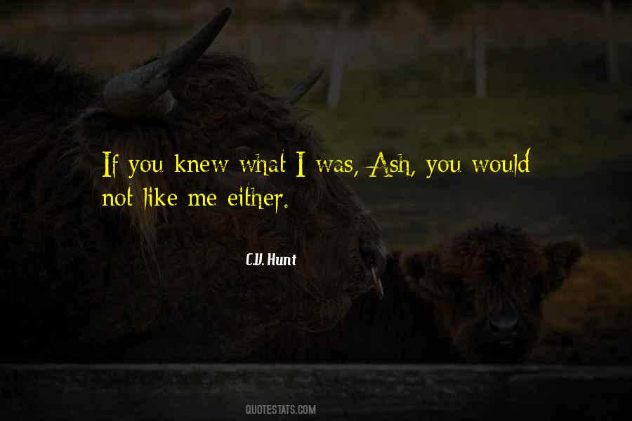 Vampire Hunt Quotes #172690