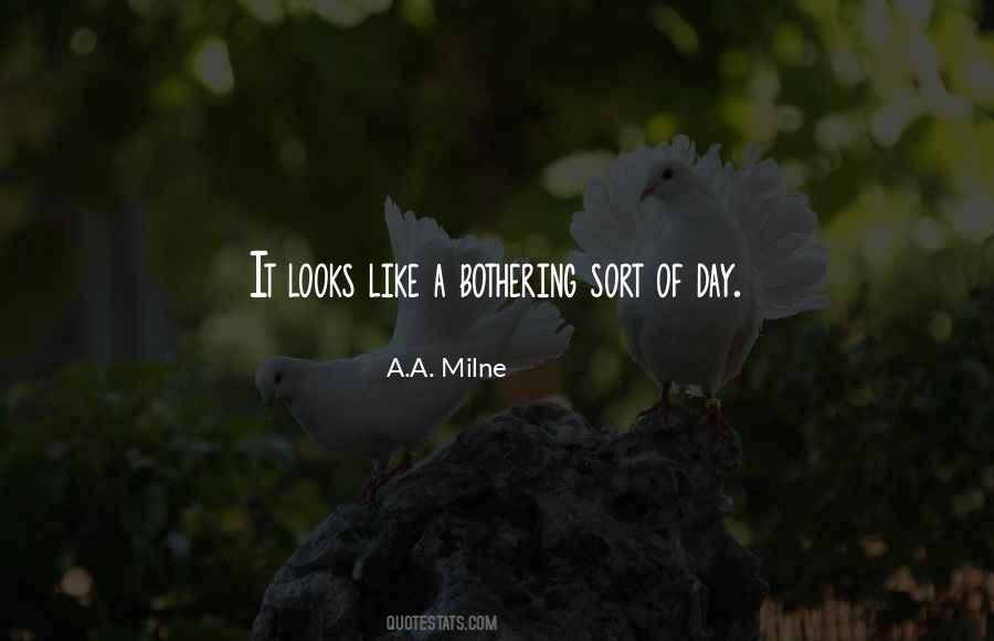 Allderdice Girls Quotes #451532