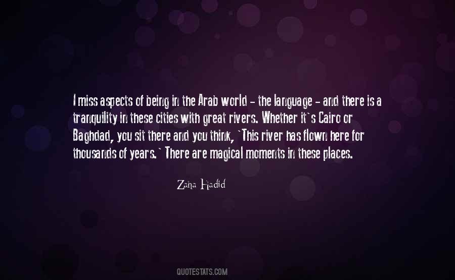 Aspects Of Language Quotes #1589136
