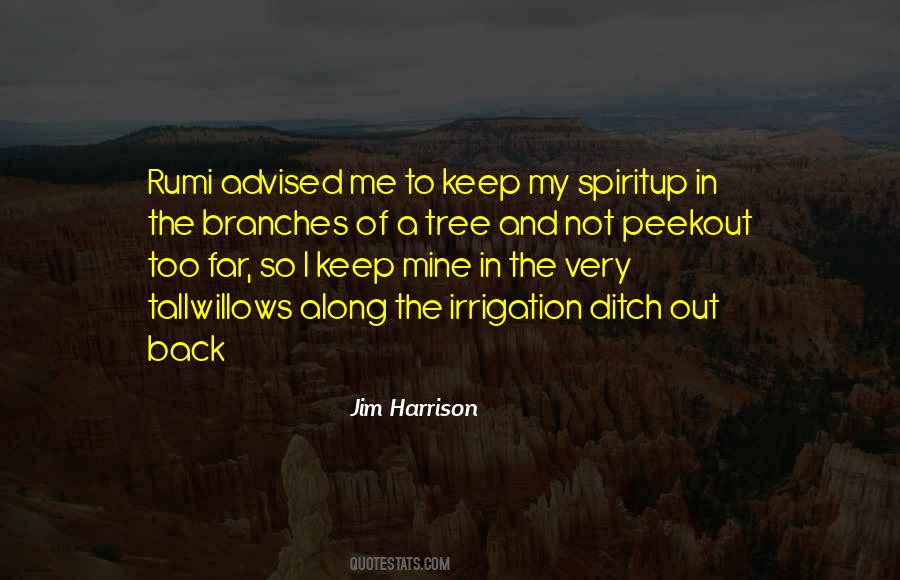 Rumi Poetry Quotes #320700