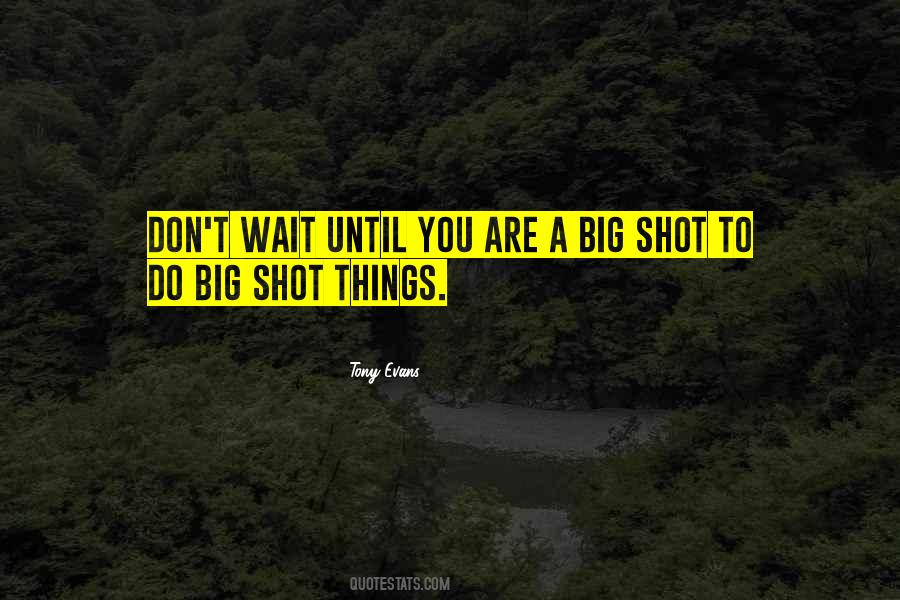 Big Shot Quotes #1656025