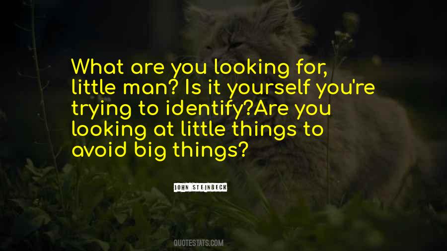 Big Vs Little Quotes #33623