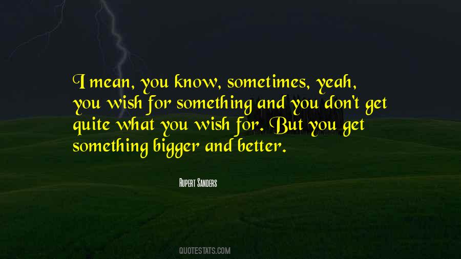 Bigger Better Things Quotes #359562