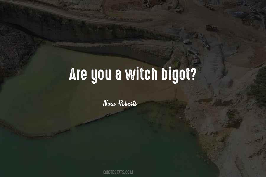 Bigot Quotes #1198708