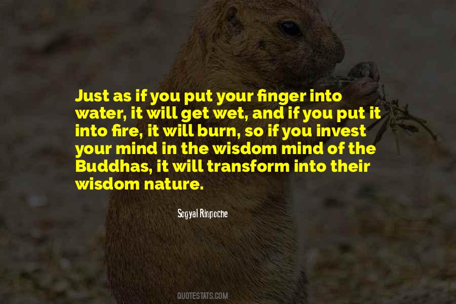 Wisdom Of Nature Quotes #817130