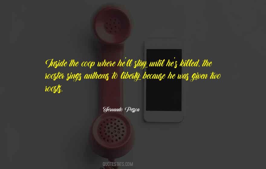 Bill Buford Among The Thugs Quotes #1646305