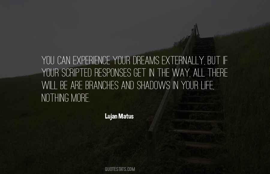 Seham Chieu Chin Quotes #922092