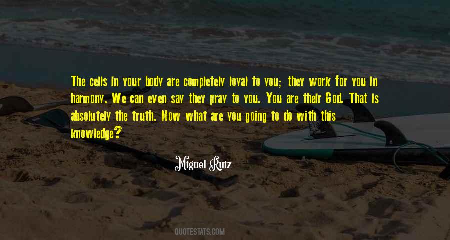 Lomelino Medical Group Quotes #1410504