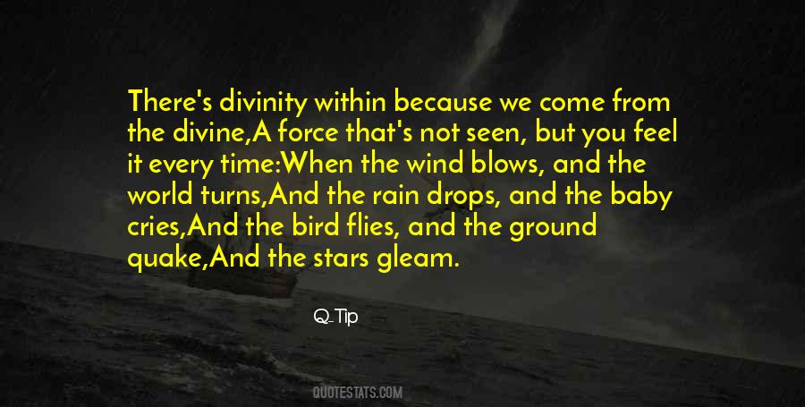 Rain Bird Quotes #1141949