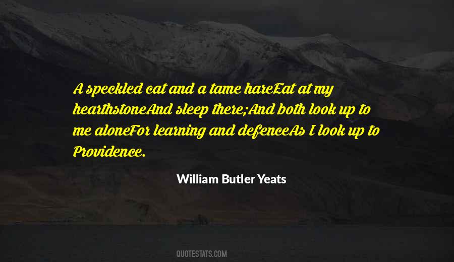 Annalena Baerbock Quotes #442373