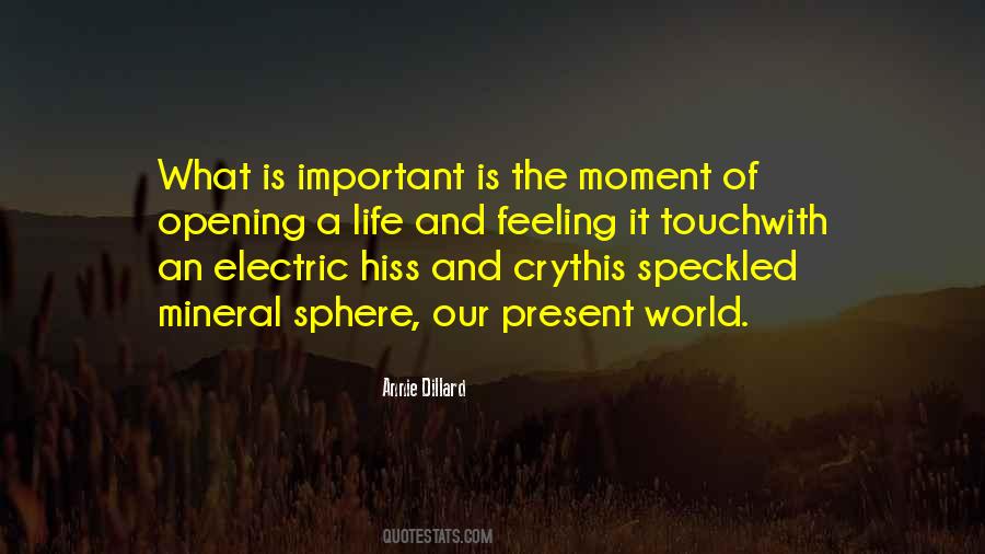 Distinguido Significado Quotes #762216