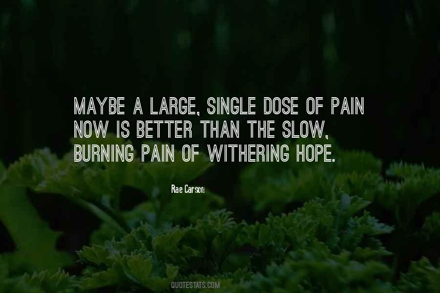 Taisuke Hamada Quotes #702871