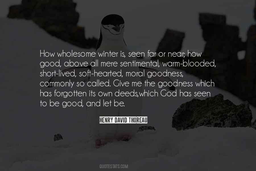 Warm Soft Quotes #1436717