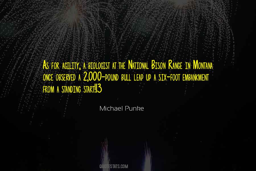 Six Foot Quotes #825204