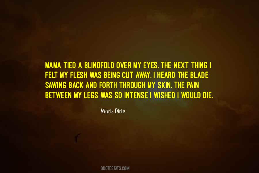 Felt The Pain Quotes #143517