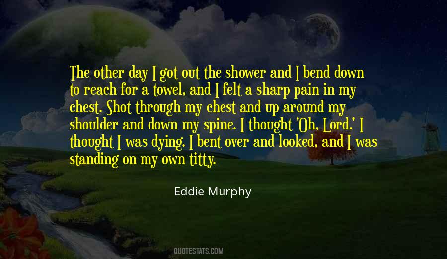 Felt The Pain Quotes #283435