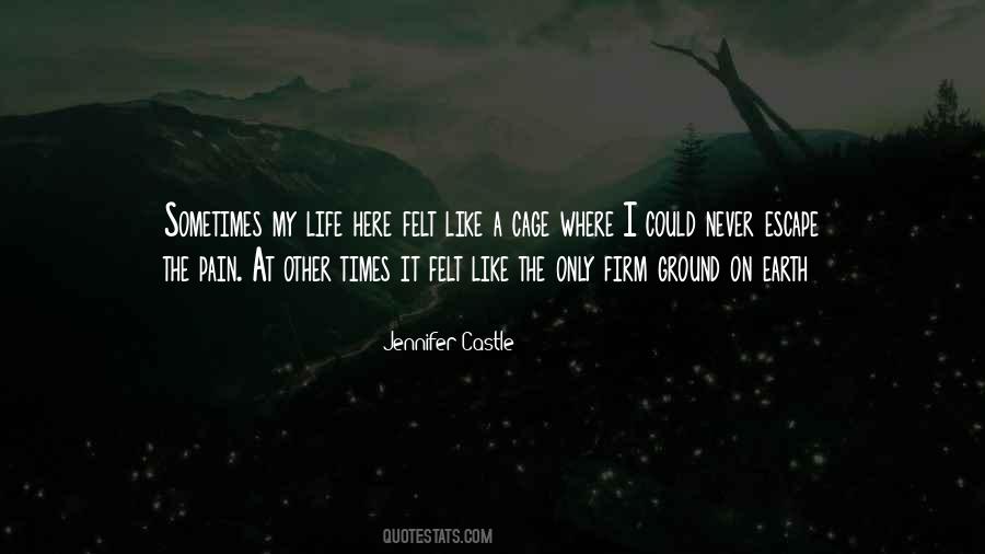 Felt The Pain Quotes #576084