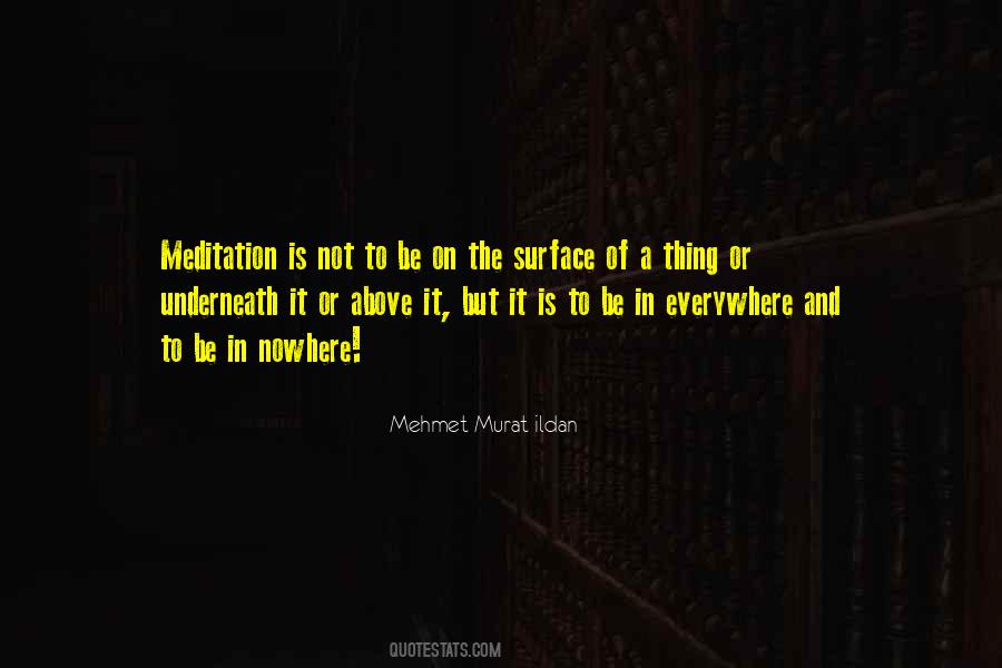 Skiena Algorithms Quotes #275083