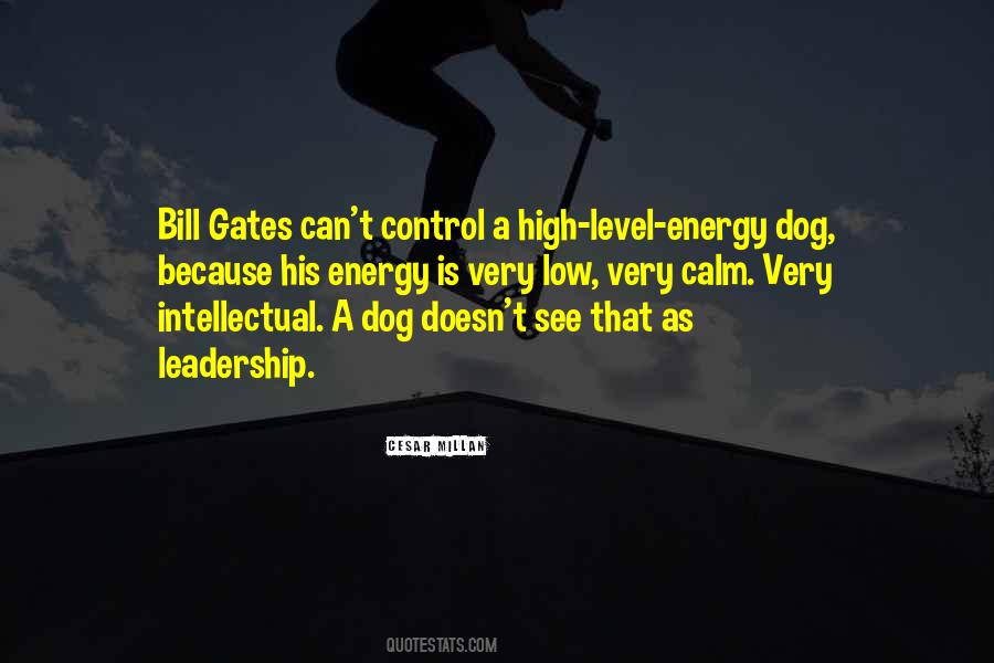 Quotes About Low Energy #645473