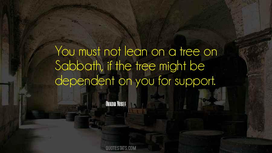 Dispensationalism Heresy Quotes #1540436