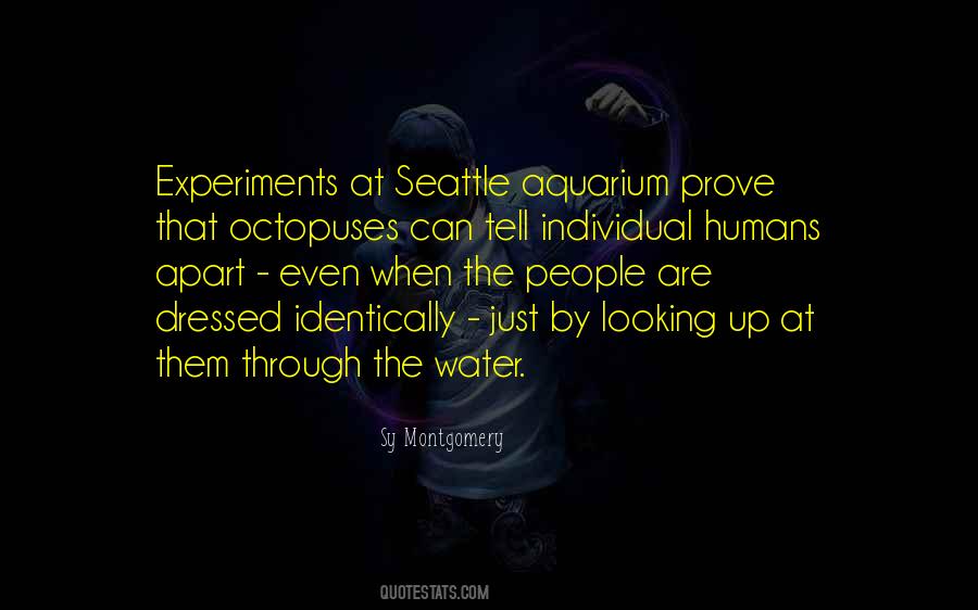 Wsche Boces Quotes #188919