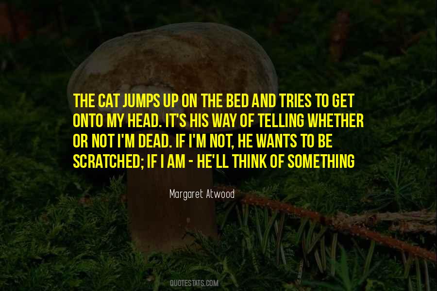Hadeer Raouf Quotes #1273753