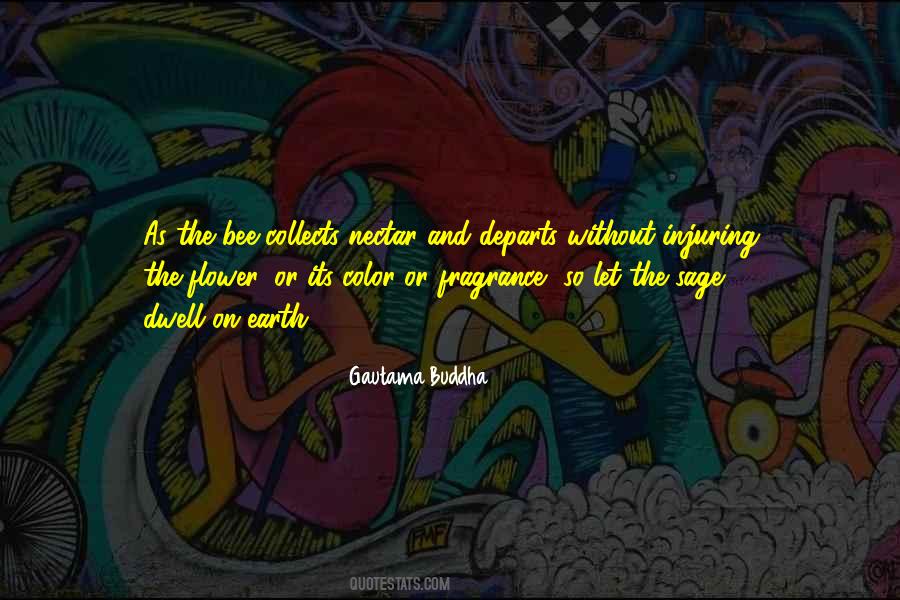 Someone Who Collects Quotes #458912