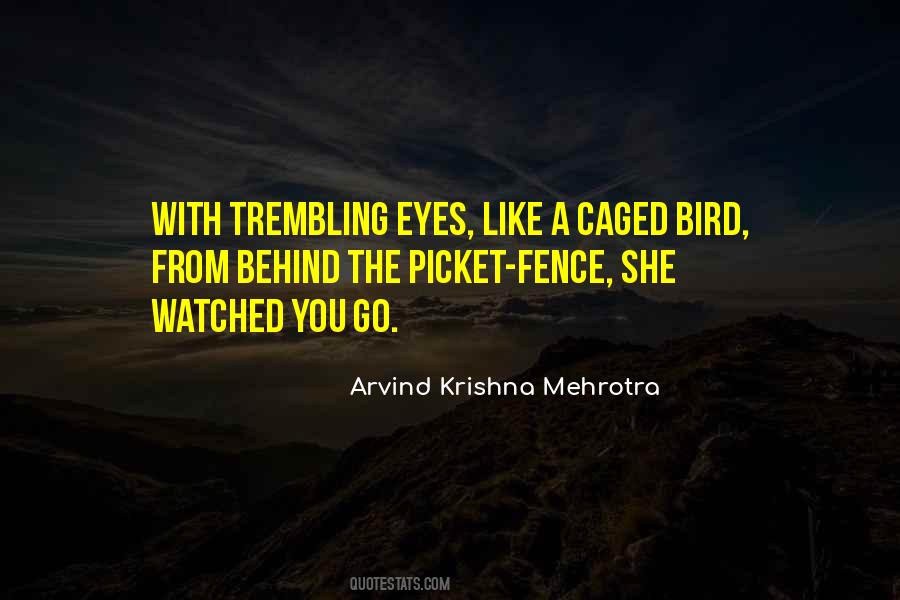 Bird Caged Quotes #433705