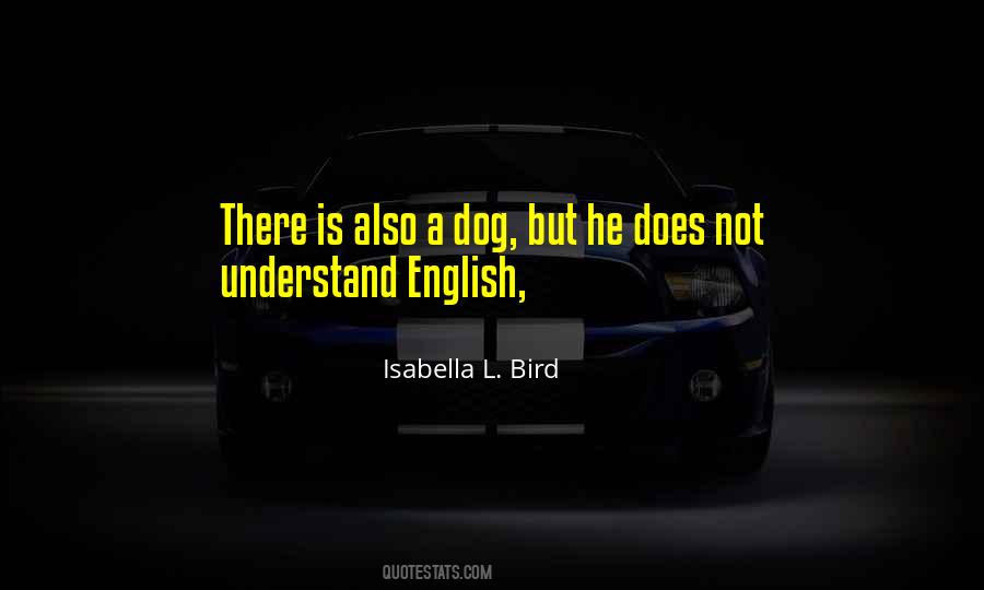 Bird Dog Quotes #468061