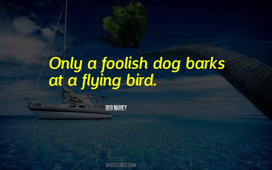 Bird Dog Quotes #542217