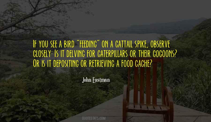 Bird Food Quotes #1635714