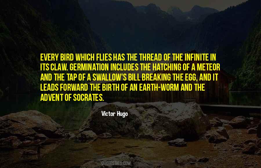 Bird Hatching Quotes #920690