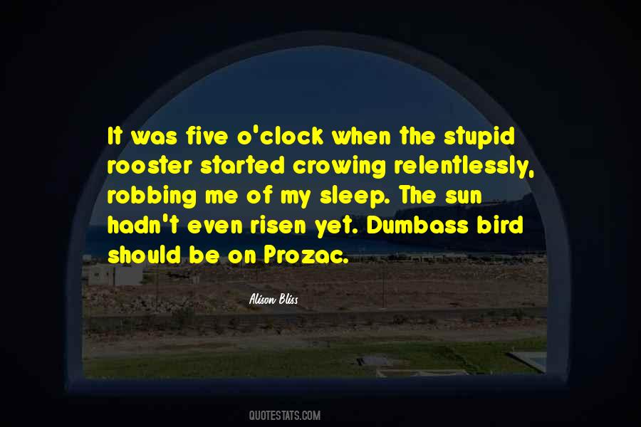 Bird O'donnell Quotes #1033037