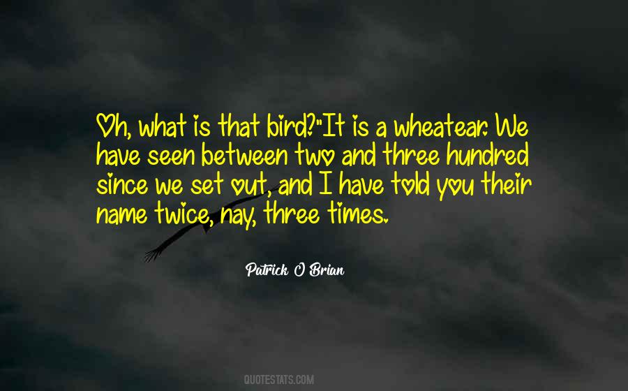 Bird O'donnell Quotes #1730835